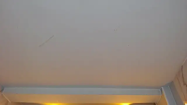 Snapshot of dania_b_ chatting on 10-19-25, 03:07 dania b  online show from 10-19-25, 03:07