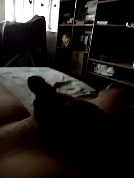 CadencedMimesis online show from 09-27-25, 08:30