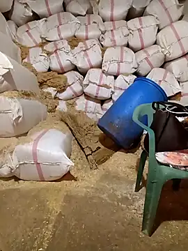 ezgi2545 online show from 04-19-26, 11:09