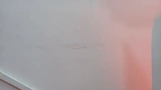 Lizbeth Rouse online show from 10-24-25, 10:44