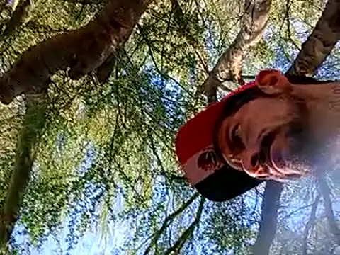 Werito0420 online show from 06-15-26, 01:30