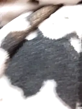 Snapshot of Laxmi_89 chatting on 11-27-25, 03:52 Laxmi 89 online show from 11-27-25, 03:52