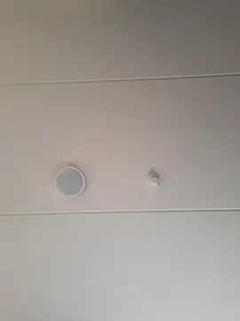 geilerd122 online show from 10-19-25, 03:56