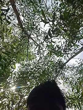 96Rohon online show from 03-21-26, 06:18