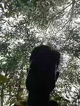 96Rohon online show from 04-26-26, 07:17