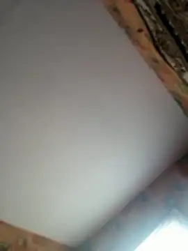 Romashka33011 online show from 03-27-26, 07:58