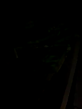 sr dias online show from 11-13-25, 08:46