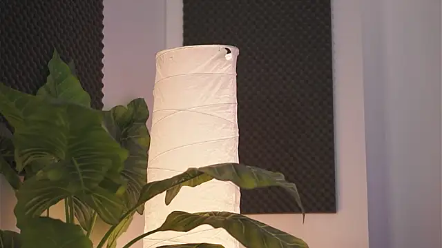 Snapshot of KyssaraPlay chatting on 10-01-25, 06:03 KyssaraPlay online show from 10-01-25, 06:03