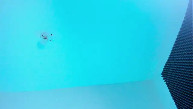 Ellope  online show from 10-22-25, 11:04