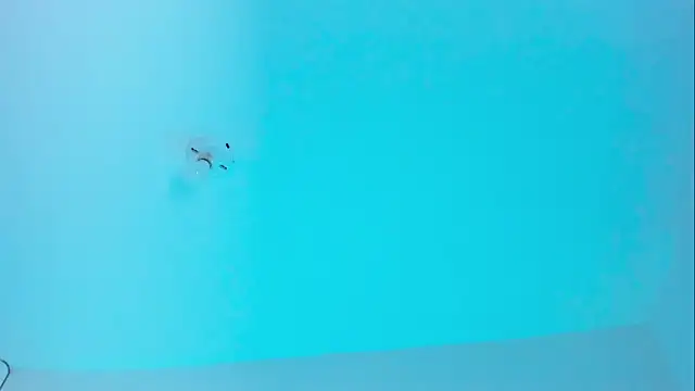 Ellope  online show from 11-19-25, 09:59