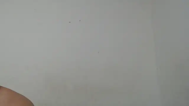 Ana ThiagoxX online show from 09-14-25, 02:54