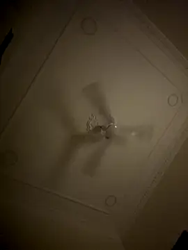 Snapshot of Samsamo999 chatting on 10-16-25, 11:17 Samsamo999 online show from 10-16-25, 11:17