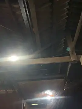 EmLy02 online show from 04-16-26, 11:00