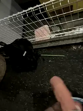 rinne0110 online show from 09-13-25, 04:18