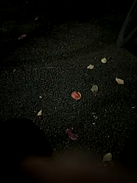 rinne0110 online show from 11-05-25, 01:11