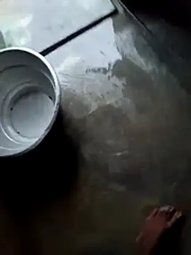 Snapshot of dolphiinn chatting on 11-28-25, 01:08 dolphiinn online show from 11-28-25, 01:08