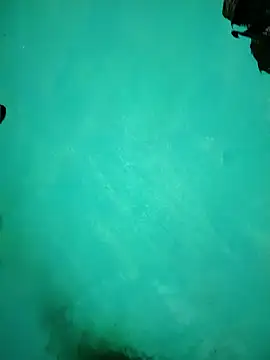 Arti13A online show from 01-17-26, 03:17