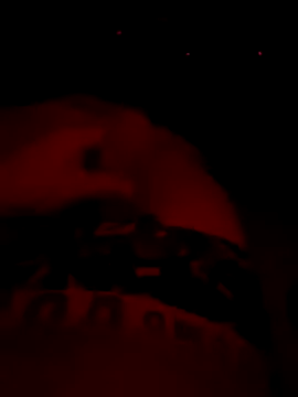 el pija chica online show from 09-29-25, 03:44