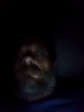 Snapshot of Potch8duim chatting on 10-06-25, 07:55 Potch8duim online show from 10-06-25, 07:55