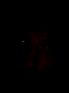 Snapshot of Potch8duim chatting on 11-02-25, 07:49 Potch8duim online show from 11-02-25, 07:49