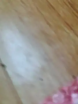 Markroco696 online show from 10-18-25, 02:58