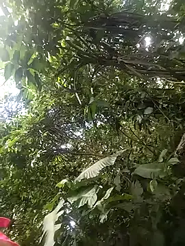 Snapshot of dulcelatin21 chatting on 11-25-25, 07:58 dulcelatin21 online show from 11-25-25, 07:58