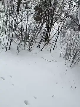 desiredude9 online show from 01-06-26, 08:18