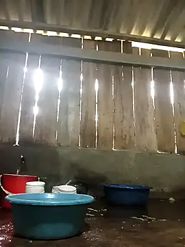 Ngocmi909 online show from 11-17-25, 01:22