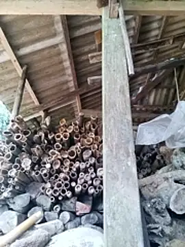 miss-su online show from 04-27-26, 03:04