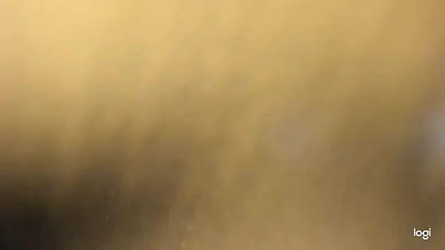 vlakas from cbate online show from 01-05-26, 05:27