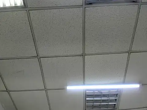 ScarletDoll online show from 10-24-25, 02:52