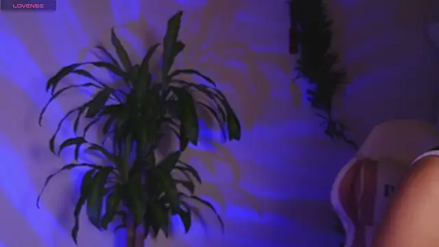 bri von dhara   online show from 04-26-26, 01:47