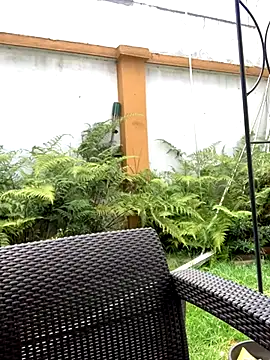 Snapshot of Jasmin_Pink chatting on 09-25-25, 03:27 Jasmin Pink online show from 09-25-25, 03:27