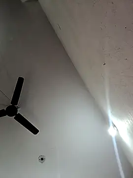 Appypie online show from 11-12-25, 06:36