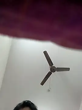 Appypie online show from 11-16-25, 06:41