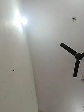 Appypie online show from 12-03-25, 07:38