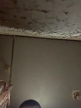 Allinside666 online show from 04-13-26, 06:02