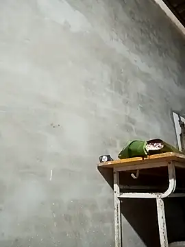 Milan6789 online show from 03-13-26, 12:39