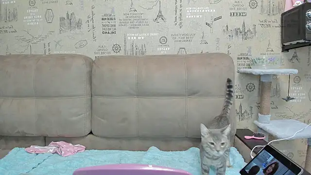 Kelly Gerzikaa online show from 11-29-25, 01:41