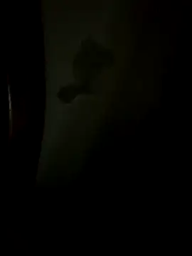 Bruno18cmmmmkk online show from 12-19-25, 03:46