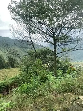 Snapshot of O_o_UwU_o_O chatting on 11-06-25, 02:01 O o UwU o O online show from 11-06-25, 02:01