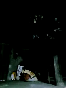 ngan-cute online show from 12-16-25, 10:09