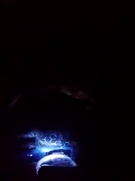 gostoso delas 2 online show from 09-17-25, 04:19