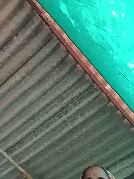 Hot-honi online show from 11-12-25, 05:52