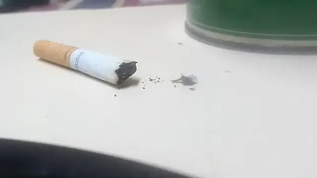 MissP11 online show from 04-28-26, 05:40