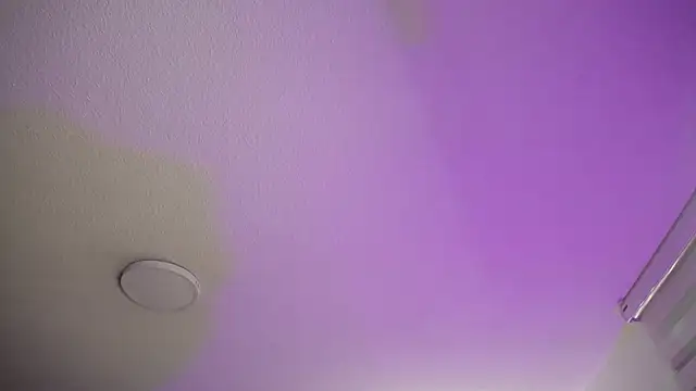  Charlotte Collins  online show from 11-22-25, 02:16