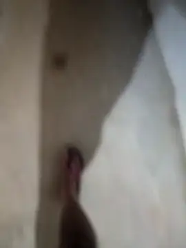 sexy  girls98 online show from 11-27-25, 12:13