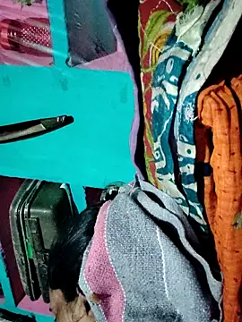 Snapshot of Pooja750 chatting on 11-07-25, 02:06 Pooja750 online show from 11-07-25, 02:06