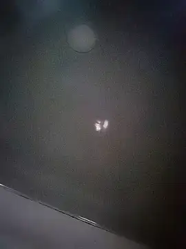 Perropa online show from 03-08-26, 12:52