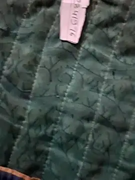 Payal950 online show from 04-27-26, 12:08